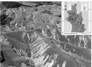 Fig. 1. Extensive shallow slope failures in New Zealand’s North Is- Is-land soft rock country triggered from intense rainfall events (image from Hancox and Wright, 2005)