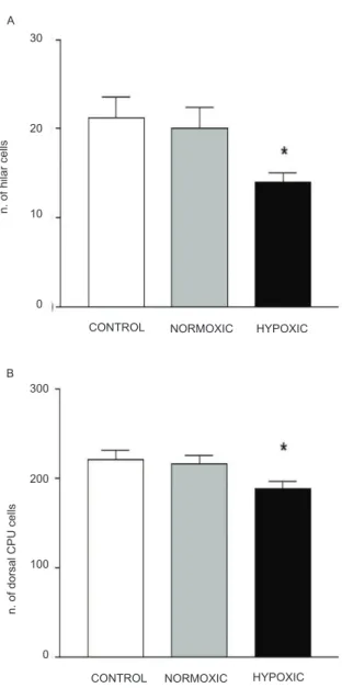 Figure 1.  Mean + SEM number of crossings in the open ield  test in male Wistar rats in the control group (n = 9), normoxic  group (n = 11), and hypoxic group (n = 11)