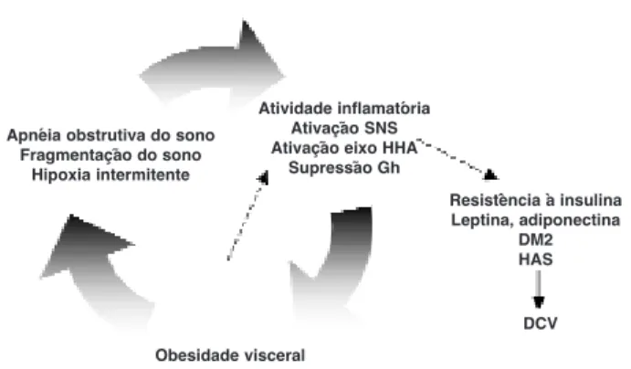 Figura 1. Possíveis interações entre SAOS, resistência à insulina e DCV — Influência da obesidade visceral.