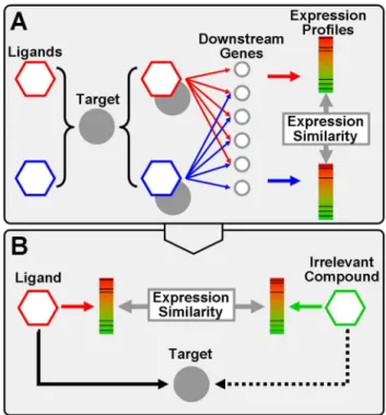 Figure 1. The principle of DTI prediction based on gene- gene-expression information. (A) Ligand-binding modifies the biological functions of protein target, a series of target-related downstream genes are then influenced