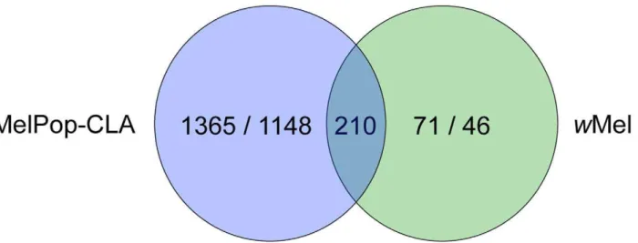 Table 1. Gene Ontology (GO) terms over-represented among gene transcripts significantly up-regulated in wMel-infected A.