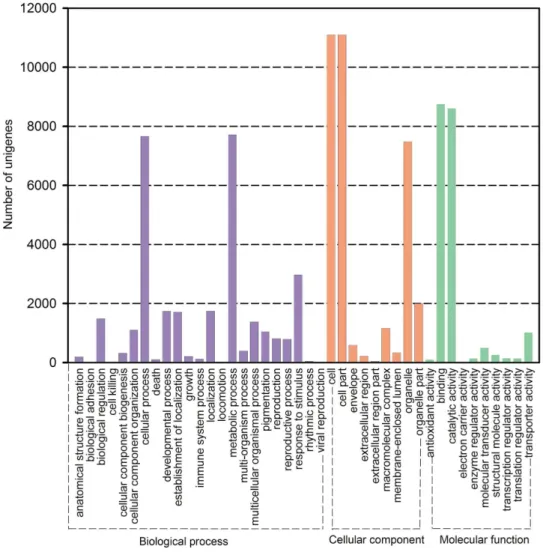 Figure 4. Gene Ontology classification of assembled unigenes. Total 17,156 unigenes were categorized into three main categories: biological process, cellular component and molecular function.