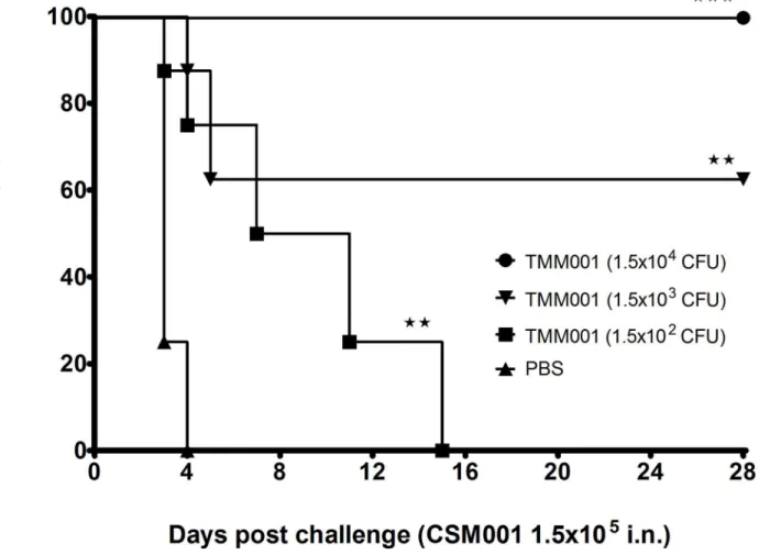 Fig 4. TMM001 (1.5x10 4 CFU) provides 100% protection against CSM001 challenge. Mice were immunized i.n