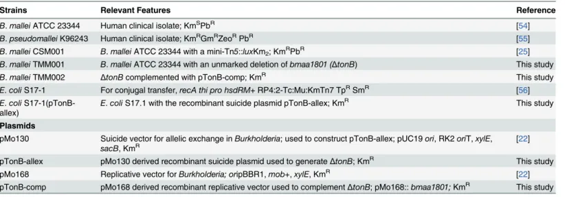 Table 1. Bacterial strains and plasmids.