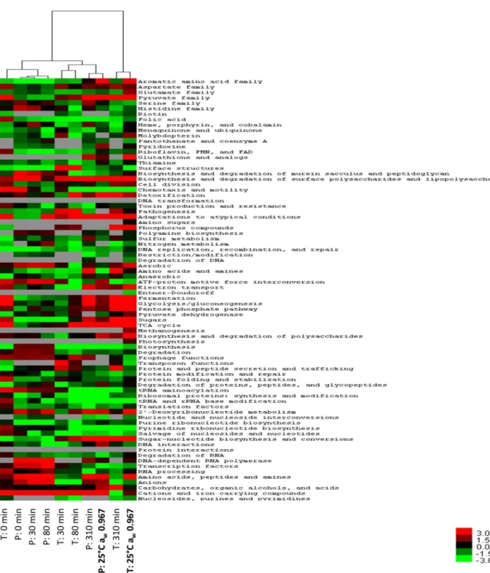 Figure 2. Hierarchical clustering analysis of transcriptomic and proteomic data. The heat map represents the T- values calculated for transcriptomic (T) and proteomic (P) profiles based on JCVI CMR functional categories (row), and is linked by a dendrogram