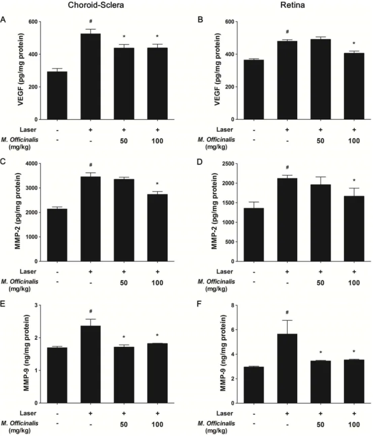Figure 5. Quantification of VEGF, MMP-2, and MMP-9 levels in choroidal-scleral complex and retina