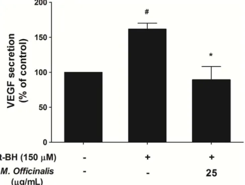 Figure 6. Quantification of VEGF secretion after treatment of t-BH on ARPE-19 cells. Mean normalized tertiary-butylhydroperoxide (t-BH)- (t-BH)-induced vascular endothelial growth factor (VEGF) expression was significantly lower with cotreatment of 25 mg/m