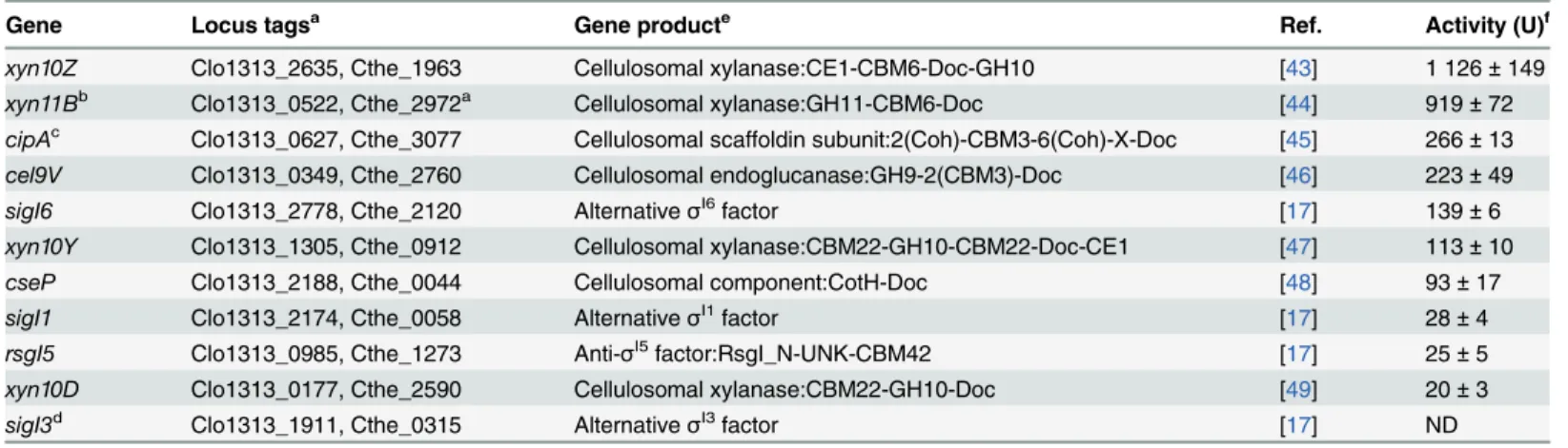 Table 3. Quantitative evaluation of possible promoters under the control of C. thermocellum σ I6 .