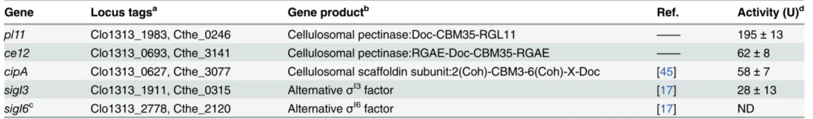 Table 4. Quantitative evaluation of possible promoters under the control of C. thermocellum σ I3 .