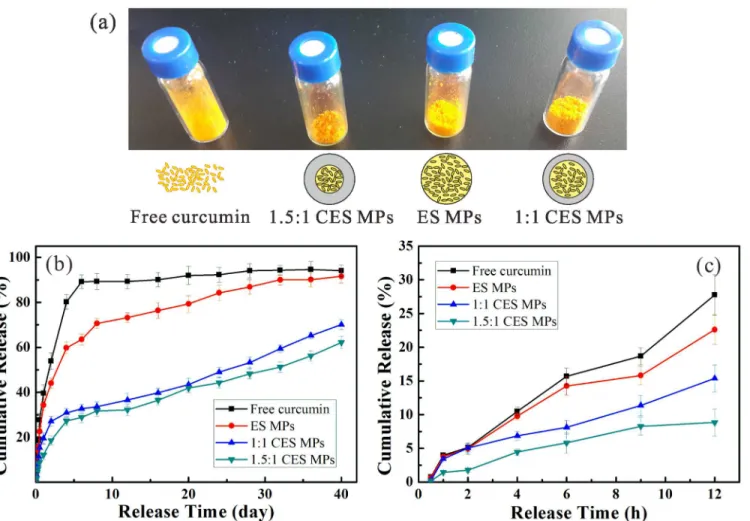 Fig 8. Comparison of the curcumin release profiles versus time at different conditions