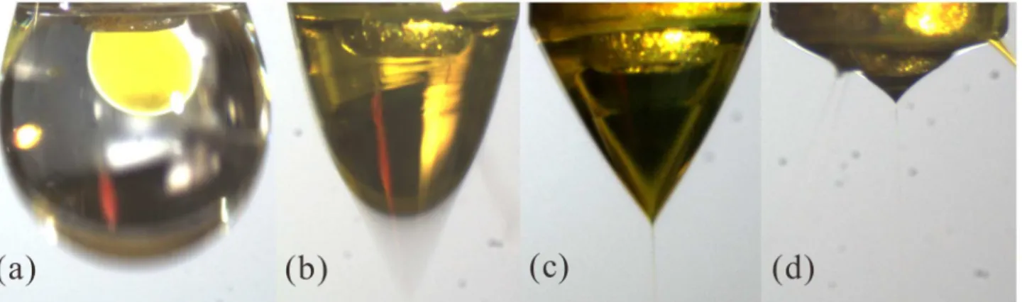 Fig 2. Four sequential flow modes of CES with the increased positive voltage. (a) Dripping mode, V 1 = 1.5 kV; (b) Coning mode, V 1 = 3.5 kV; (c) Stable cone-jet mode, V 1 = 5 kV; (d) Multi-jet mode, V 1 = 7 kV