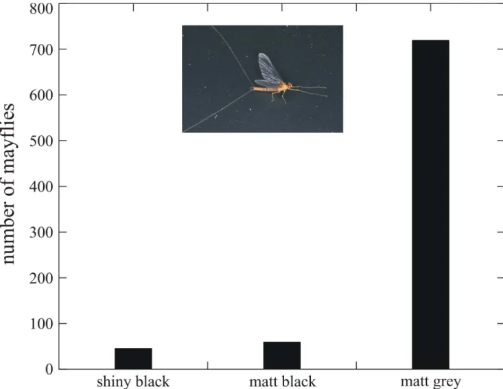 Table 2. Statistical comparisons (Kruskal Wallis and Mann-Whitney U test) between the numbers of mayflies landed on the shiny black, matt black and matt grey horizontal test surfaces in experiment 1 (Fig