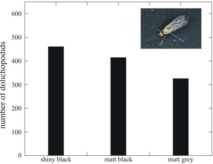 Table 3. Statistical comparisons (Kruskal Wallis and Mann-Whitney U test) between the numbers of dolichopodids landed on the shiny black, matt black and matt grey horizontal test surfaces in experiment 1 (Fig