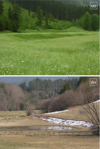 Fig. 6. Examples of feasible locations for micro-ponds in the catch- catch-ments: (a) Upper Iller and (b) Kamp.