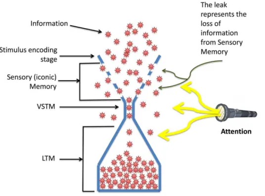 Figure 2. Schematic depiction of the stimulus and sequence of events on each trial. In the first experiment, cue delay was fixed at 0 ms