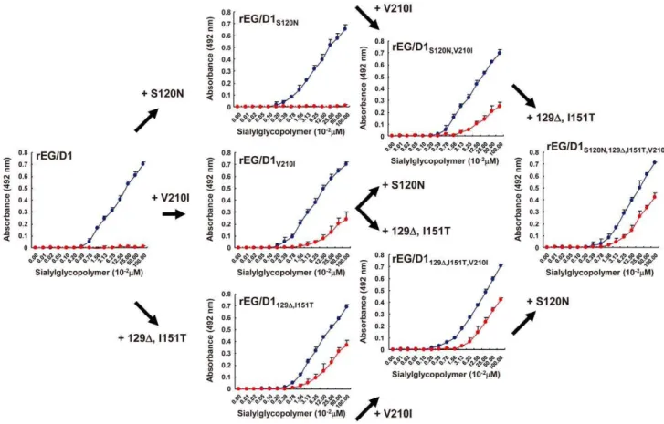Figure 5. Effect of HA mutations in sublineage BII viruses on receptor specificity of EG/D1 HA