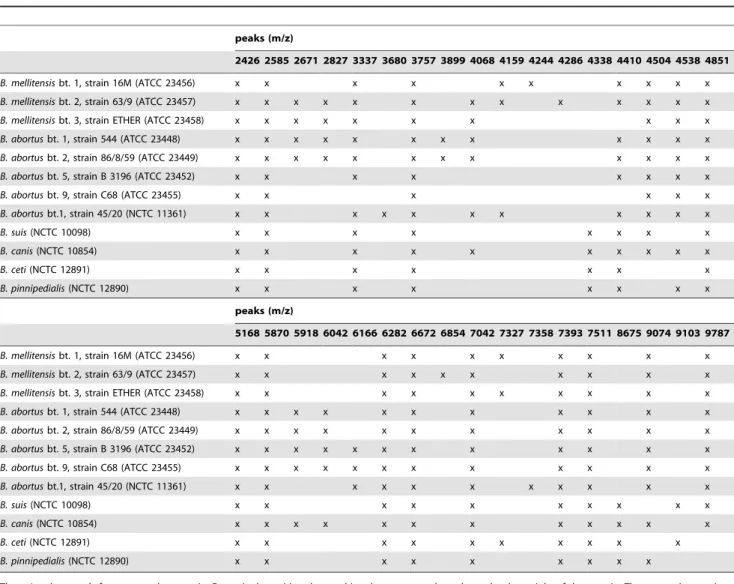 Figure 1. MALDI-TOF MS spectra of whole-cell extracts of Brucella reference strains in the range from 2000 to 11000 Da