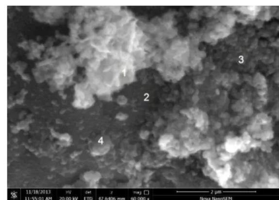 Fig. 1  −  SEM-  micrograph  of  the  powder  particles  with  the  indicated points of carrying out X-RSMA 