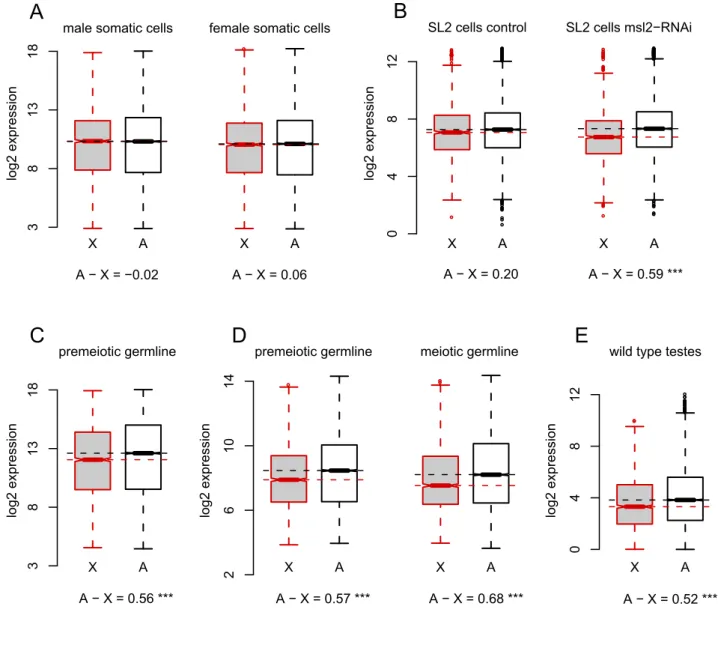 Figure 1. X chromosome and autosomal gene expression are consistent with no dosage compensation in Drosophila primary spermatocytes