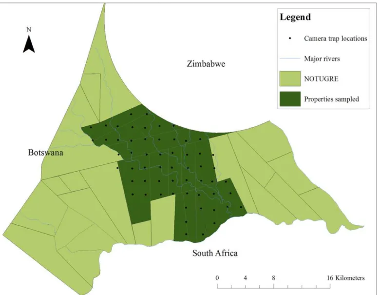 Fig 1. The locations of camera traps (n = 60) for the first survey using a systematic grid method