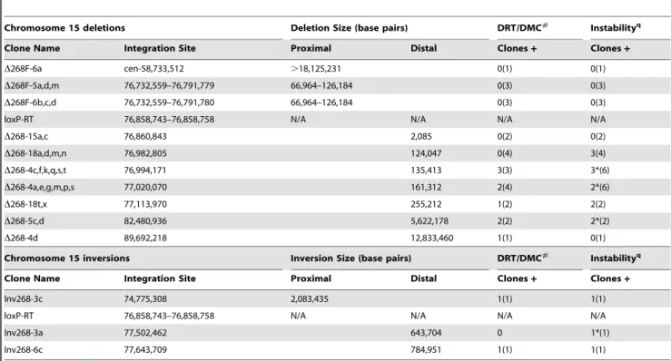 Fig. 1. DRT/DMC on an engineered t (15;16). A) Diagram of the Aprt-loxP cassettes, and the genomic organization of the mouse Aprt gene is shown