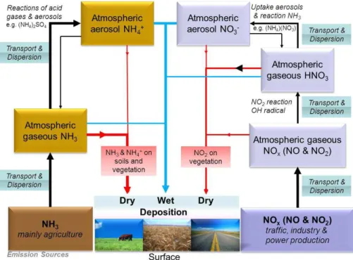 Fig. 1. A sketch which illustrates the various pathways of reactive nitrogen compounds in the atmosphere