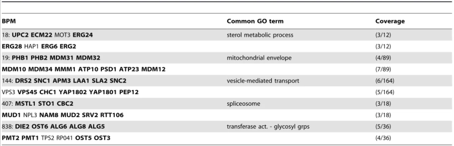 Figure 2 shows one example BPM from Table 2 in more detail.