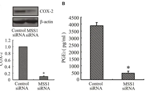 Figure 7. Inhibition of COX-2 expression and PGE 2 production by MSS1 gene knockdown in LPS-induced microglia