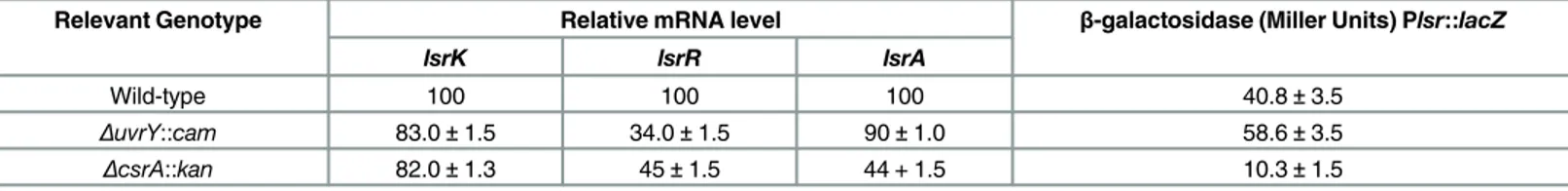Table 4. Effect of mutation of uvrY and csrA on expression of Lsr transporter.