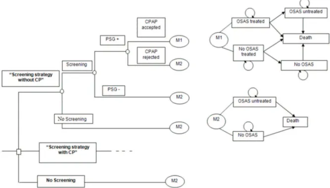 Figure 1. Analytic Decision Tree and Markov model of patients according to screening and treatment status.