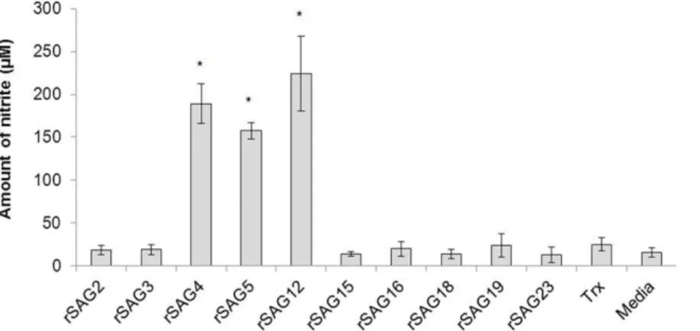 Figure 1. Effect of rSAGs on the nitrite production by chicken macrophage HTC cells. Chicken macrophage HTC cells were exposed to 100 mg/mL of each rSAG for 24 h and the levels of nitrite was measured by Griess assay