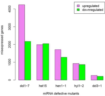 Figure S1), although 1,995 genes are upregulated in the hst15 mutant (Figure 1). The log-fold change distributions of known miRNA targets were also very similar between mutants with large transcriptome changes and mutants with small transcriptome changes (