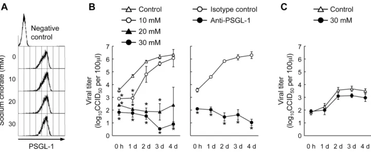 Figure 6. Replication of five EV71 strains and coxsackievirus A16 (CVA16) in Jurkat T cells in the presence of sodium chlorate