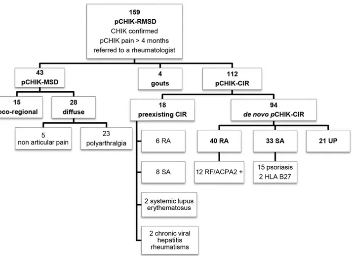 Fig 1. Nosologic flow-chart of patients referred to a rheumatologist for post-chikungunya (pCHIK) persistent rheumatic musculoskeletal pain, Saint-Denis, Reunion Island, 2006 – 2012.