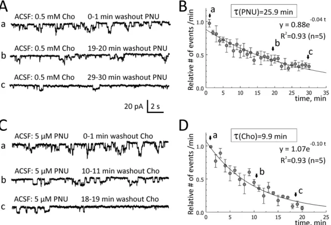 Figure 6. Washout rates of choline and PNU-120596 in hippocampal slices. To evaluate the rates of washout of choline and PNU-120596 in hippocampal slices, 0.5 mM choline and 5 mM PNU-120596 were added to ACSF for , 1 hr and step-like current deviations wer