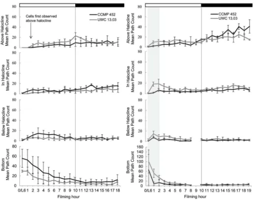 Figure 6.  H. akashiwo cell distributions within the experimental tank.  Distributions are based on the mean path count in each field of view for day 1 (left) and day 2 (right) filming observations