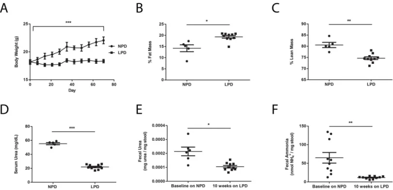 Fig 1. Changes in murine physiology and nitrogen metabolism on a LPD. Differences in (A) body weight (n = 5 in NPD group, n = 10 in LPD group), (B)