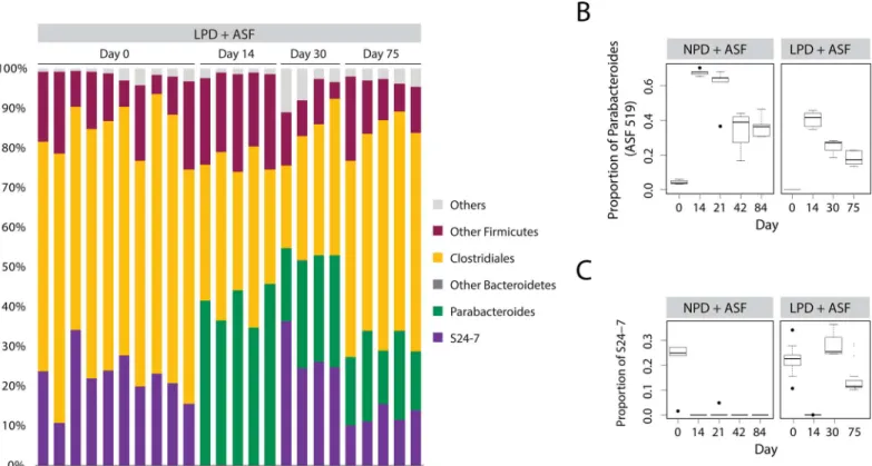 Fig 4. S24-7 returns after ASF transplantation into mice on a LPD but not on a NPD. (A) Relative abundance of bacterial taxa are shown