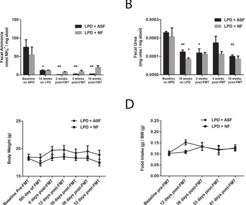 Fig 5. ASF transplantation alters colonic urea nitrogen recycling without significantly affecting host physiology