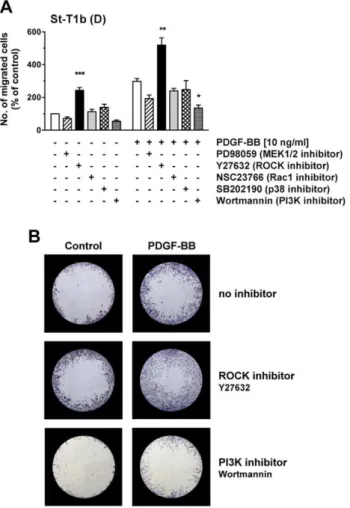 Figure S1 Induction of decidualization markers in hESCs and St-T1b cells. (A) Induction of transcripts for PRL, IGFBP-1 and FOXO1 upon decidualizing treatment (5d  8-Br-cAMP/MPA) was monitored by RT-PCR in two individual primary hESC cultures, and in the S
