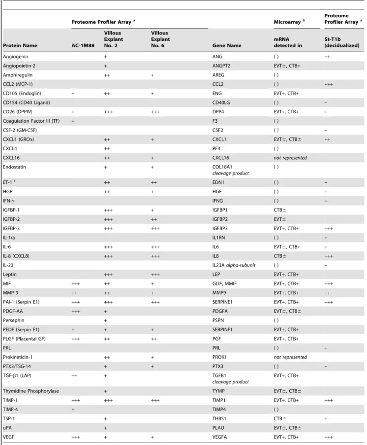 Table 1. Proteome profiling for cytokines and angiogenesis factors in conditioned medium from AC-1M88 human trophoblast cells, two individual first trimester villous explant cultures, and the St-T1b human endometrial stromal cell line after decidualizing t