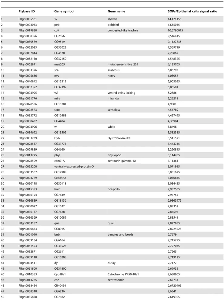 Table 1. Genes whose expression was increased 2-fold or greater between SOPs and epithelial cells.