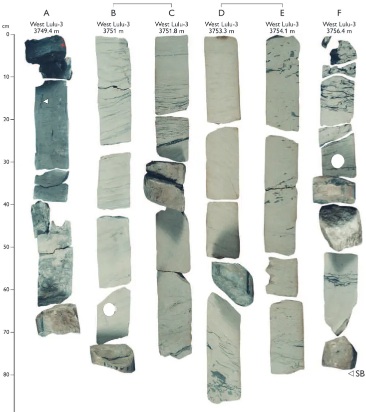 Fig. 5. Core photographs of fluvial channel and floodplain facies (facies associations 1–4) and facies successions of the lower Bryne Formation (Baj-1B, Bat-1A, Bat-1B sequences)