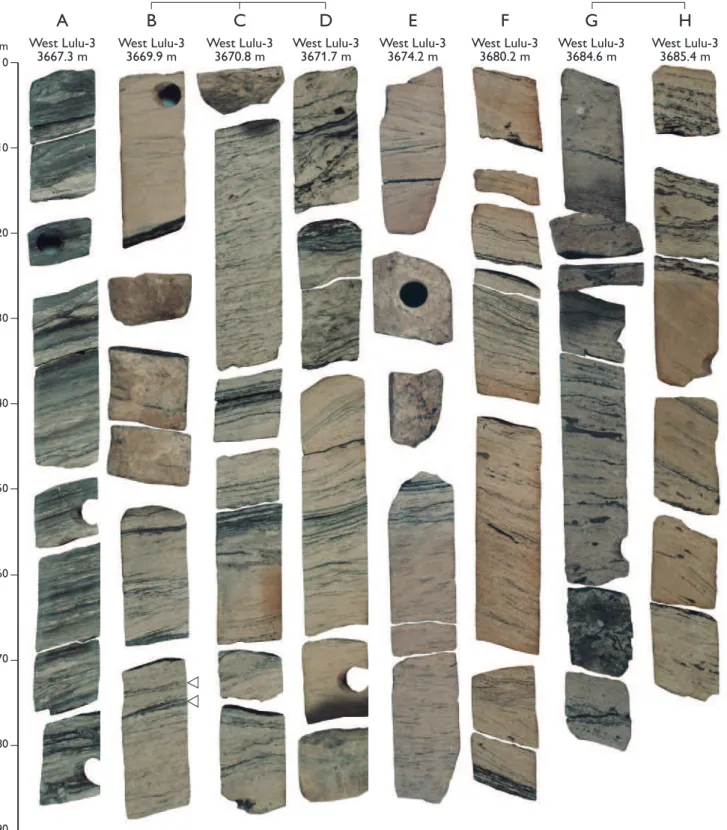 Fig. 6. Core photographs of the incised valley-fill (facies associations 5, 8) of the upper Bryne Formation (Cal-1A sequence) in West Lulu-3 (base of succession lower right, top upper left; for location of core sections, see Fig