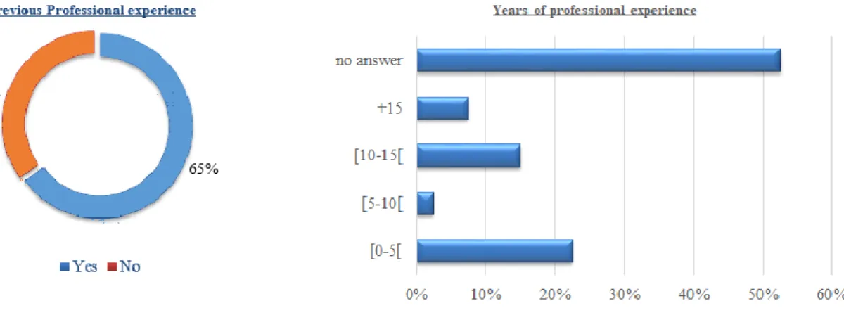 Figure 4 – Sample Description – Previous Professional Experience  (n=40) 