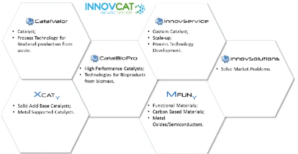 Figure 7: INNOVCAT products, technologies and services. 