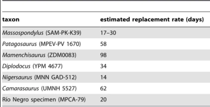 Table 2. Estimated tooth formation times (ages) and replacement rates in several sauropodomorphs.
