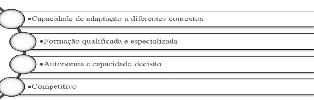 Figura 3: Características do Colaborador Multifuncional 