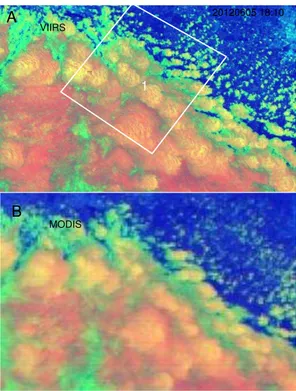 Fig. 11. VIIRS and MODIS retrieved r e for the clouds shown in Fig. 10. Only clouds with 0.6 µm solar reflectance &gt; 0.4 are  ana-lyzed.