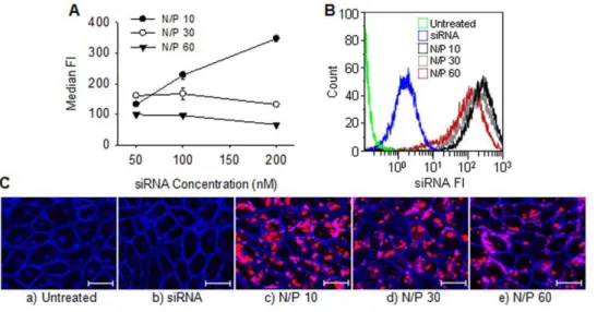 Figure 1. Chitosan-mediated siRNA uptake in RBE4 cells. A) Levels of internalized Alexa-647 conjugated siRNA at different nanoparticle N/P ratios and siRNA concentrations expressed as the median fluorescence intensities (FI) of the analyzed cells